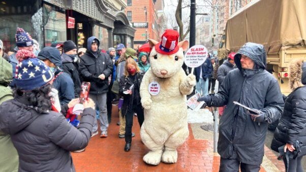 Costumed Mouse at MAGA Rally