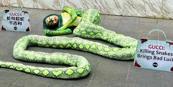 A woman in a snake costume