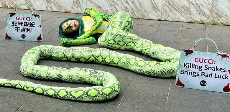 A woman in a snake costume