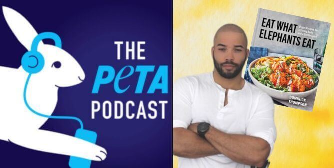 The PETA Podcast logo next to a portrait