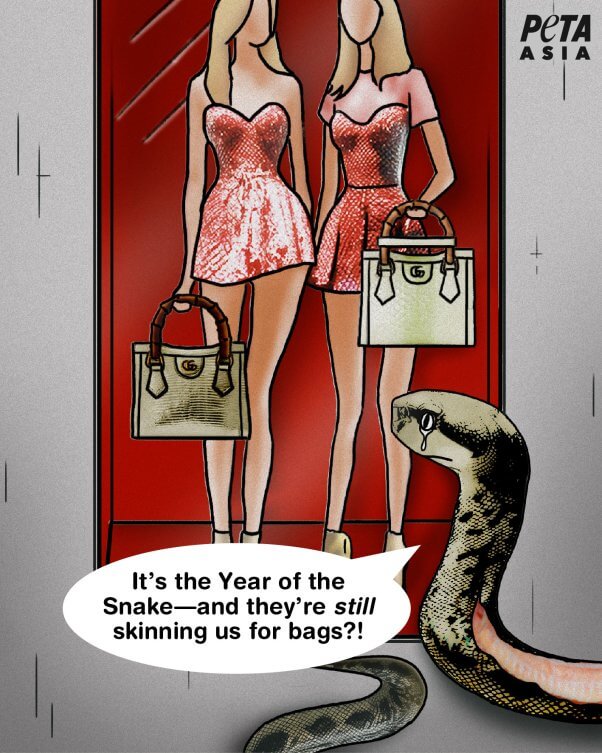 snake illustration looking at snakeskin bags and exclaiming, "it's the year of the snake and they're still skinning us for bags?"