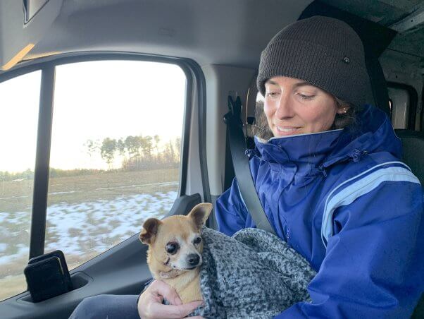 PETA staffer holding Fifi in a car