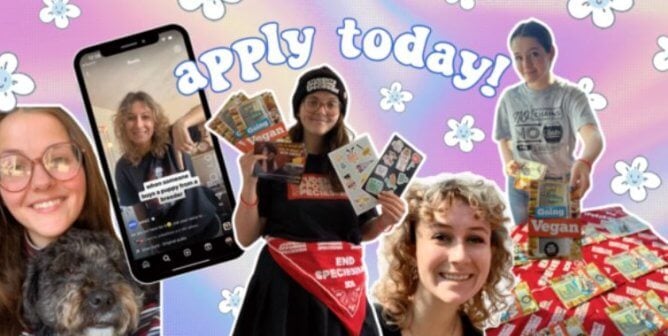 Photo collage of interns at peta2 with text reading 'Apply Today!'