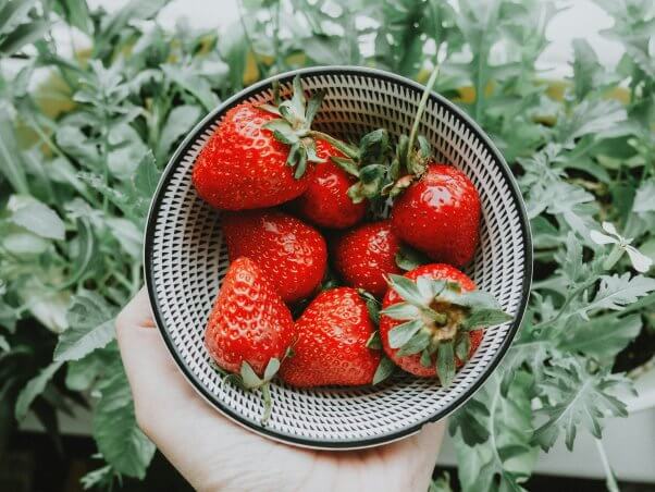 strawberries in a bowl