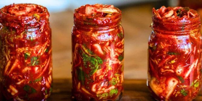 the korean vegan jars of vegan kimchi