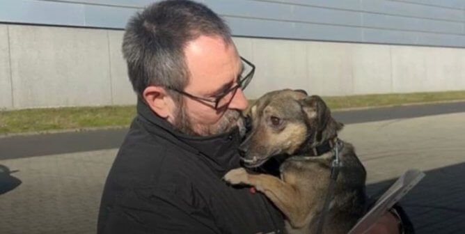 A man holds a small dog