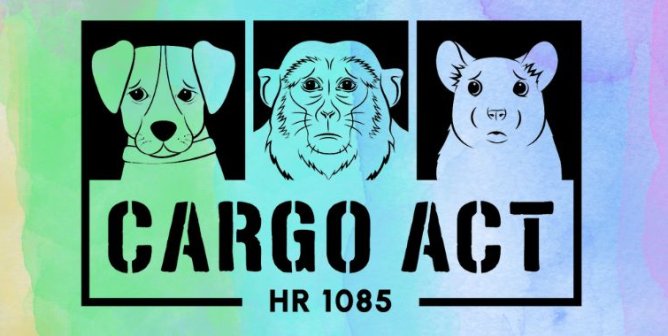 Cargo Act Logo