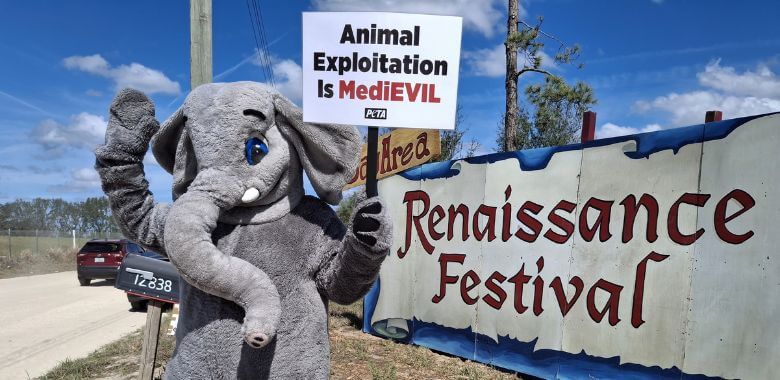 A person in an elephant mascot costume holds a sign in front of a Renaissance Festival