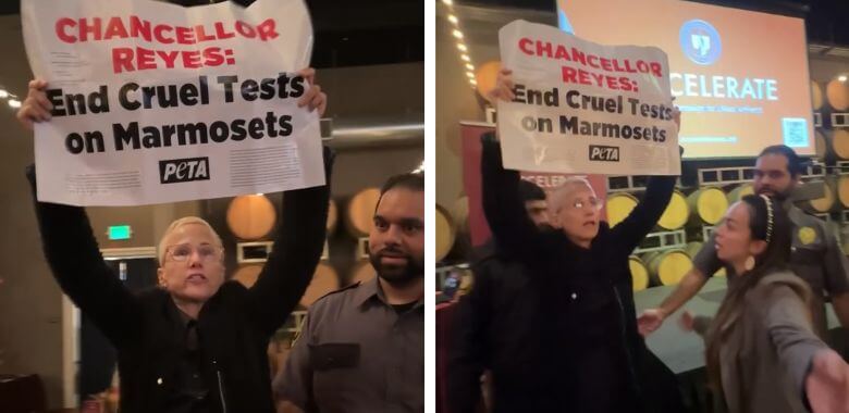 A demonstrator holding up a sign reading Chancellor Reyes: End Cruel Tests on Marmosets