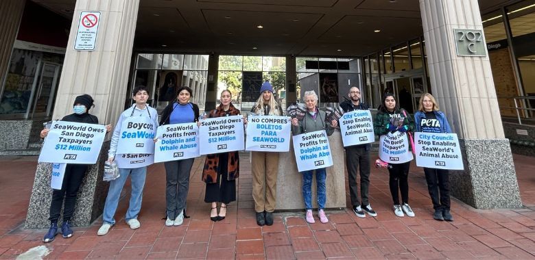 People standing in a line with signs