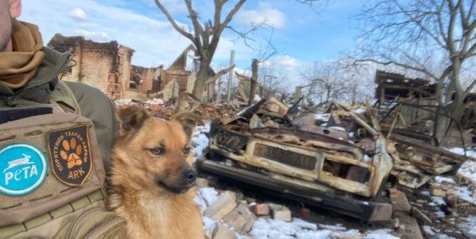 A man holds a small brown dog next to rubble