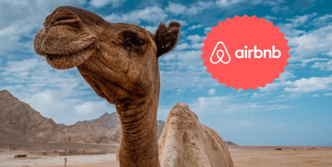 camel in front of a blue sky with airbnb logo