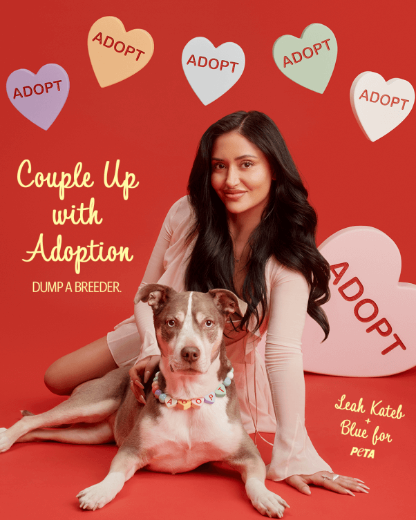 love island usa star leah kateb and her dog blue pose with valentine's day hearts for adoption campaign