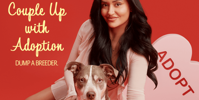 love island usa star leah kateb and her dog blue pose with valentine's day hearts for adoption campaign