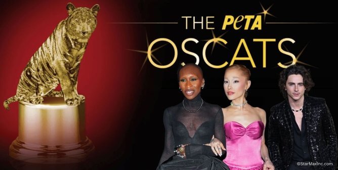 oscat 2024 award with timothee chalamet ariana grande and cynthia erivo