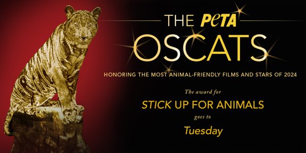 oscat "stick up for animals" award